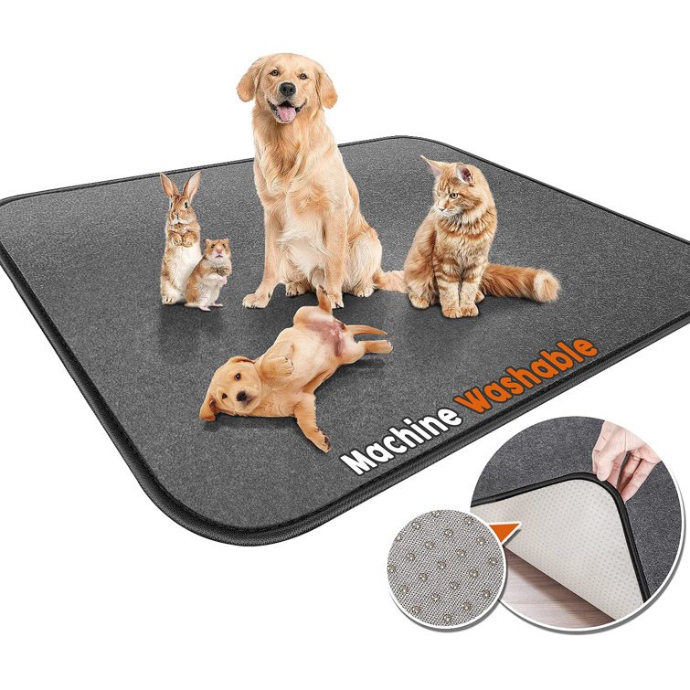 dog training floor mats