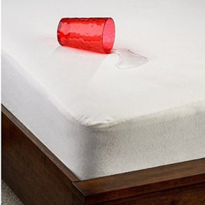 Organic Smooth Top Natural Fiber Hypoallergenic Waterproof Mattress Protector by Dream Decor