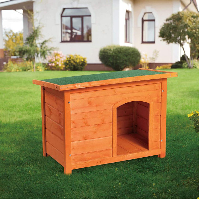 dog house flat roof
