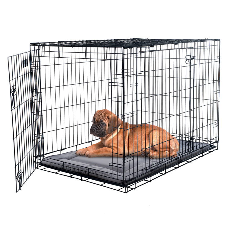 dog crate prices