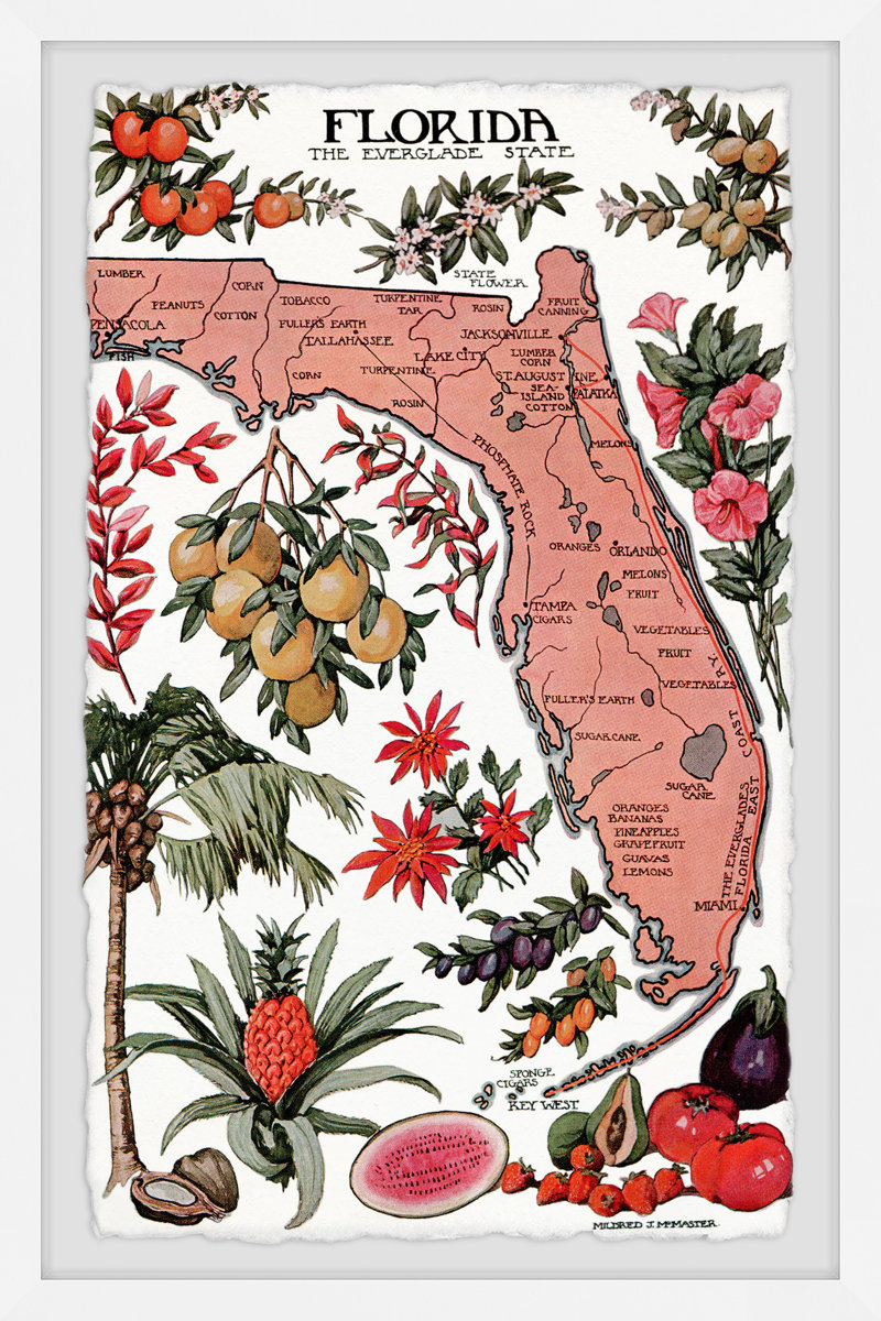 Florida, the Everglade State - Picture Frame Painting Print on Paper Size: 24" H x 16" W x 1.5" D