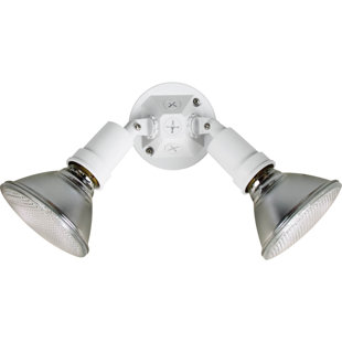 Best Aberdeenshire 2-Light Outdoor Spotlight By Winston Porter Outdoor Lighting Aberdeenshire 2-Light Outdoor Spotlight By Winston Porter Outdoor Lighting