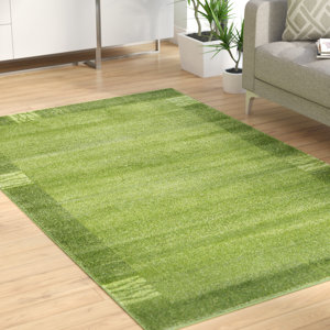 Christi Green Color Bordered Area Rug