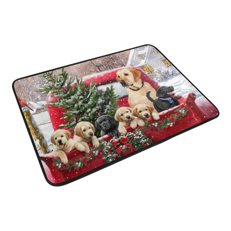 non slip floor mats for dogs