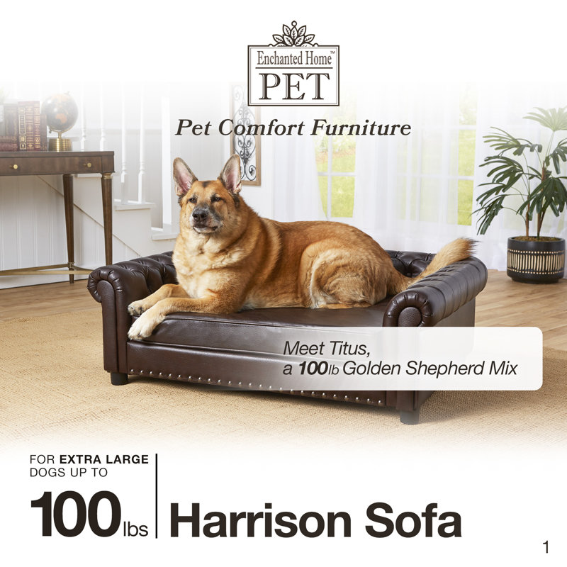 Tucker Murphy Pet Hinojosa Dog Sofa Reviews Wayfair