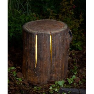 Hymel Woodland Tree Stump 1 Light Decorative And Accent Light By Sol 72 Outdoor