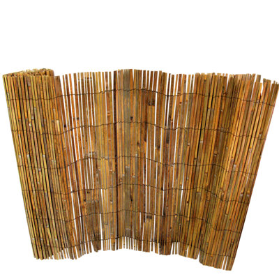 You Pick The Price On These Amazing Finds!