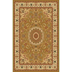 Brown Area Rug