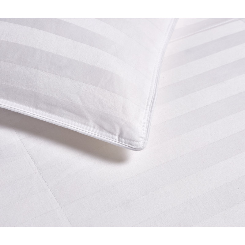 Blue Ridge Home Fashion All Season Down Comforter Reviews Wayfair