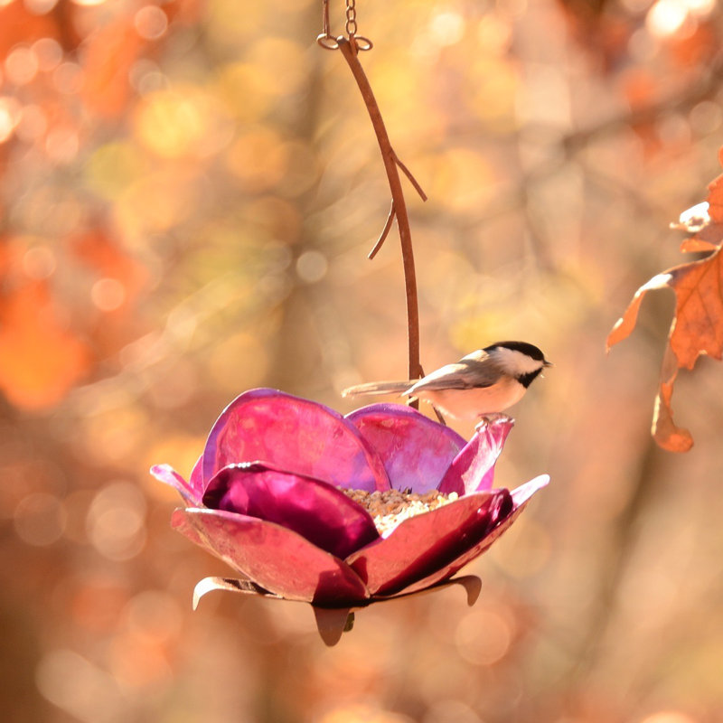 Desert Steel Crab Apple Blossom Decorative Bird Feeder & Reviews | Wayfair