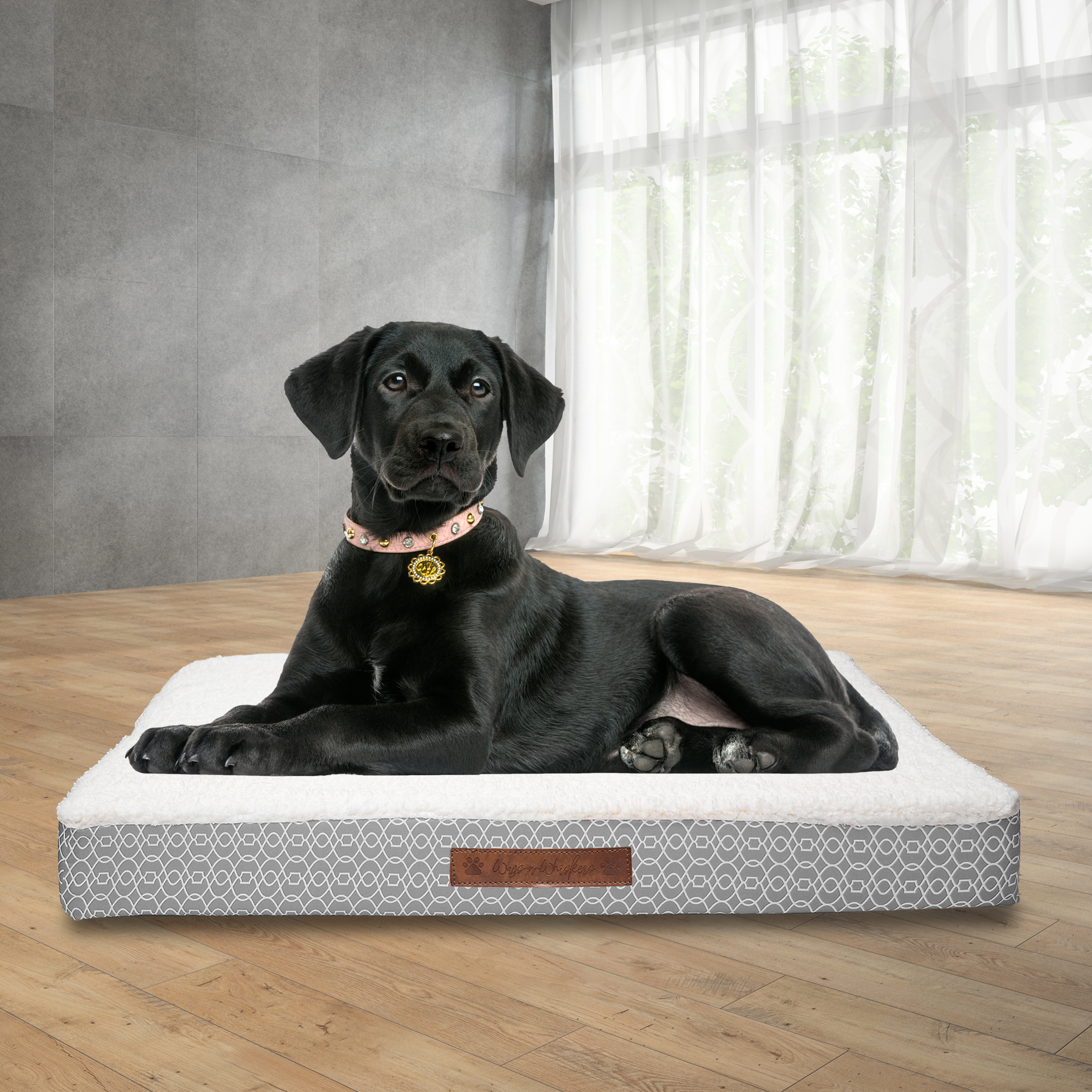 orthopedic pet mat