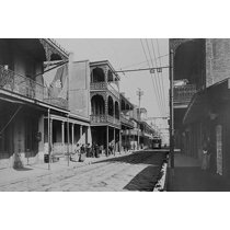 Wayfair new orleans Clearance