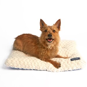 Cesar Millan Ultimate Dog Mat