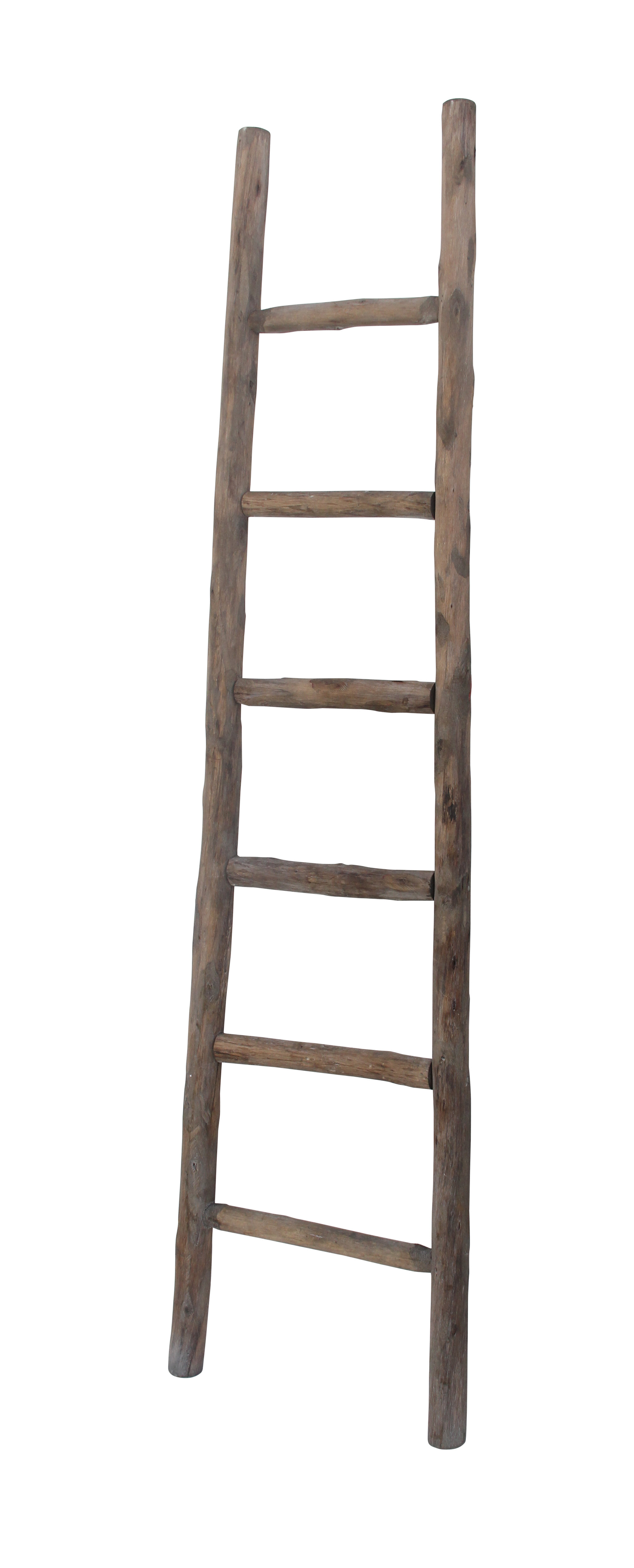 Wooden 6 Ft Blanket Ladder Reviews Joss Main