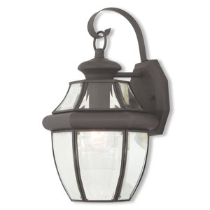 Gustavson 1-Light Outdoor Metal Wall Lantern