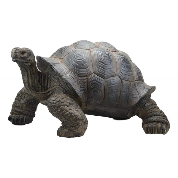 Turtles Animals Box Small Turtle Garden Animal Statues Decor