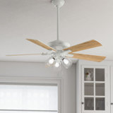 Ceiling Fans Joss Main