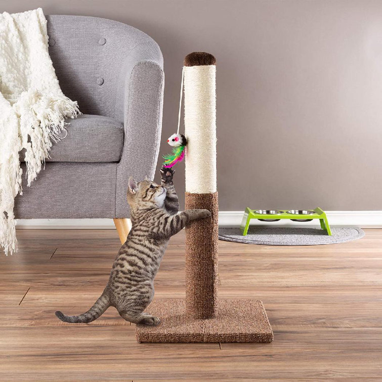 tall carpet scratching post