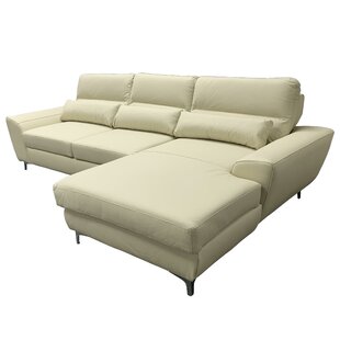 Danyel Right Hand Facing Leather Sleeper Sectional By Orren Ellis