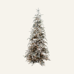 Balsam Hill Tree Wayfair