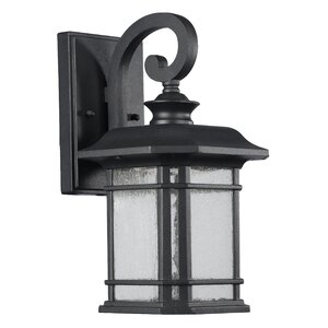 Coeymans 1-Light Outdoor Wall Lantern