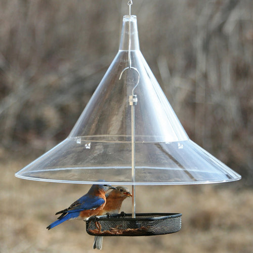 Birds Choice Cedar Bluebird Hopper Bird Feeder Wayfair Ca