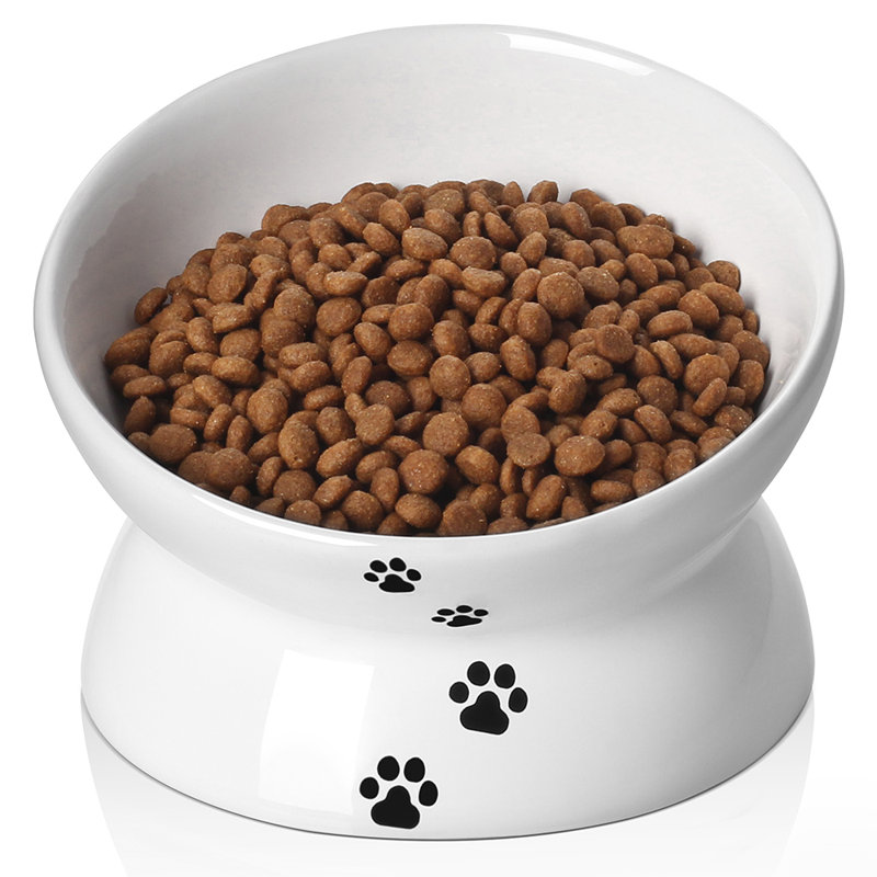 elevated ceramic cat bowls