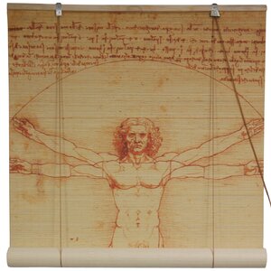 Vitruvian Man Bamboo Roller Blind