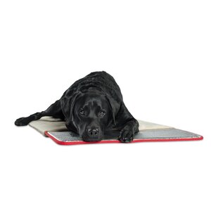 Pet Therapeutics Pad