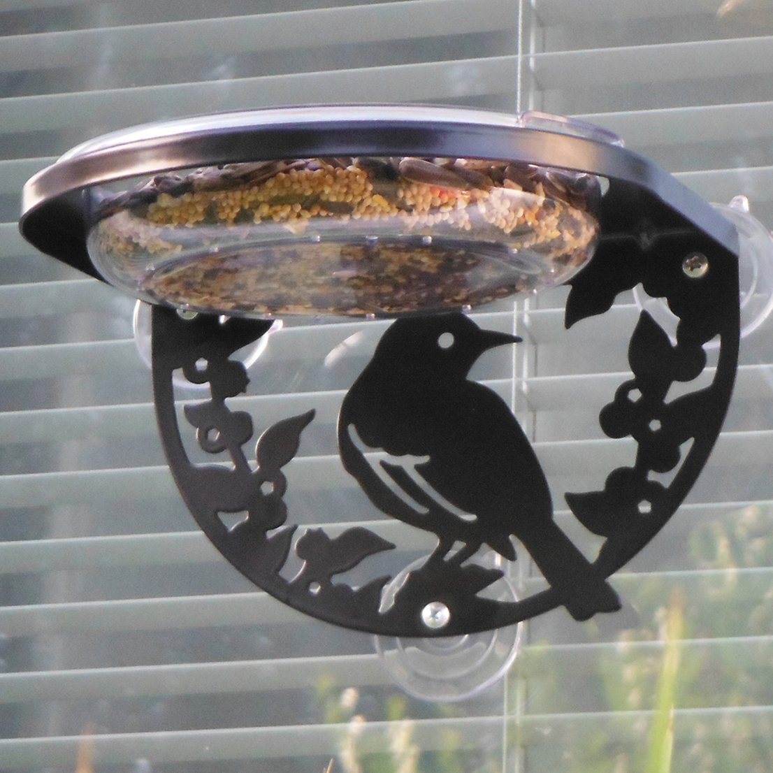 Droll Yankees Songbird Window Tray Bird Feeder Reviews Wayfair