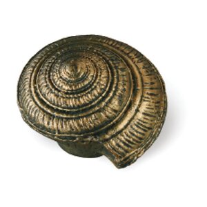 Venice Shell Novelty Knob