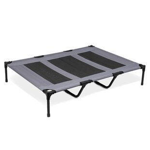 Wayfair | Elevated Dog Beds You'll Love in 2022