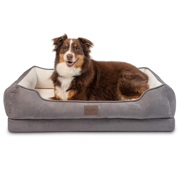 memory foam dog couch