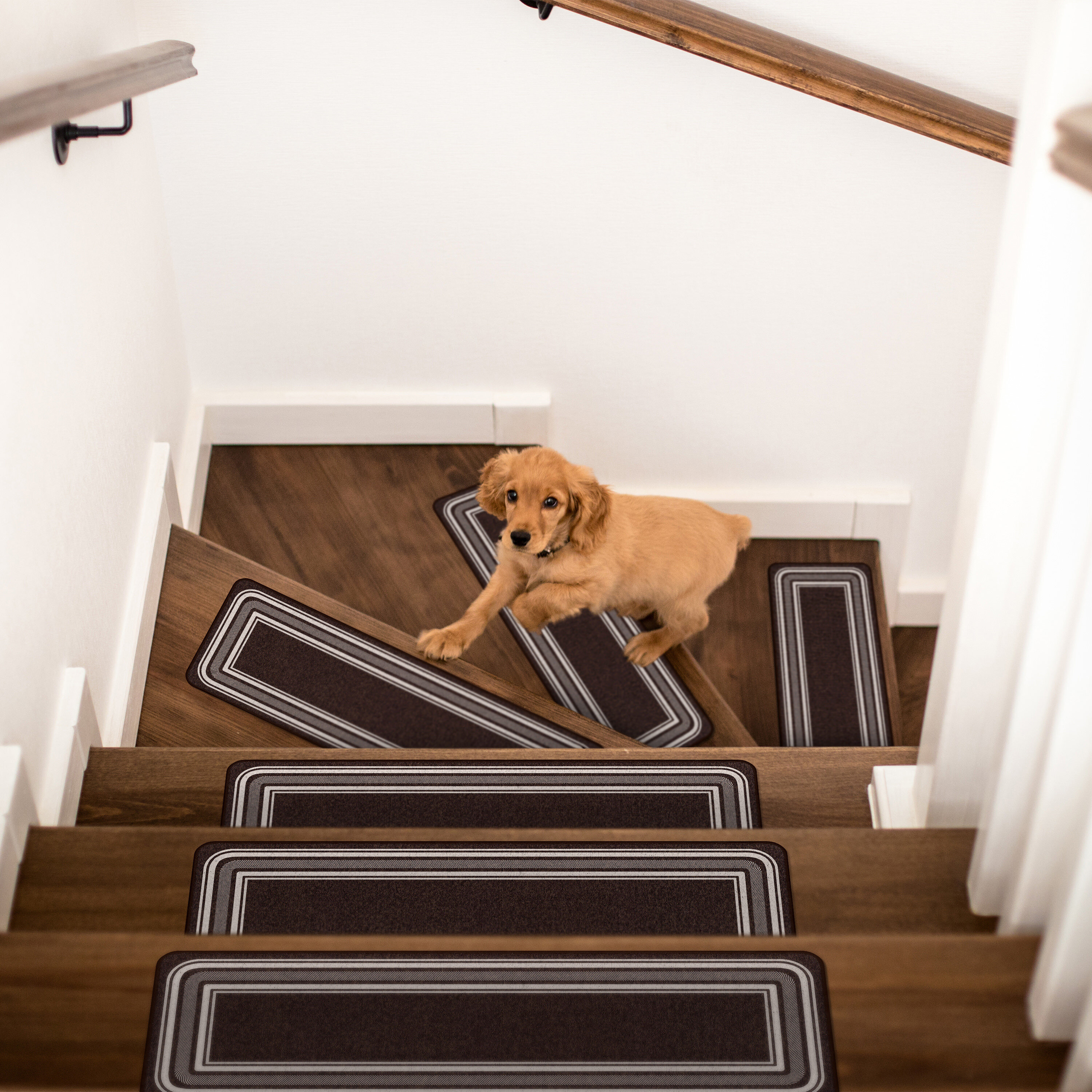 Zipcode Design™ Hewish Stair Tread & Reviews | Wayfair