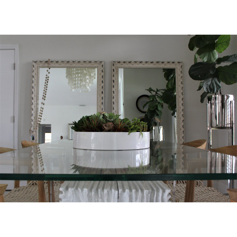 Max Bowl Succulents Cactus And Driftwood Mixed Centerpiece Birch