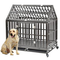 wayfair dog crates