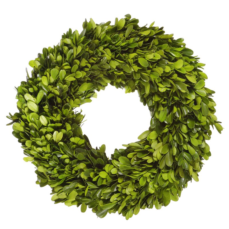 Jane Seymour Botanicals Boxwood 12" Preserved Wreath & Reviews | Wayfair