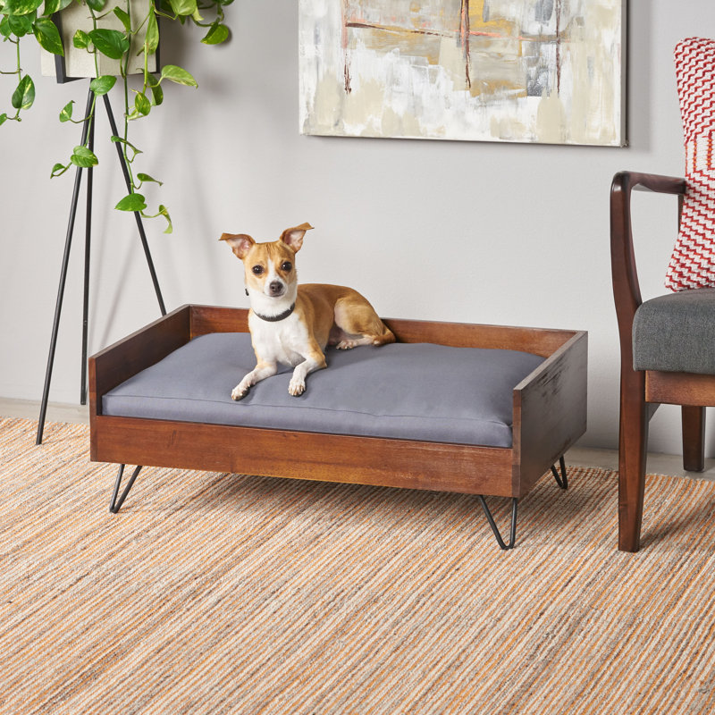 dog bed couch – yildizkurt.co