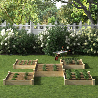 Outdoor Living Today 8 Ft X 8 Ft Cedar Raised Garden Bed With Deer Fence Kit Reviews