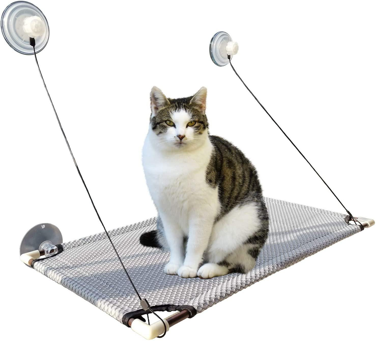 the lazy cat hammock