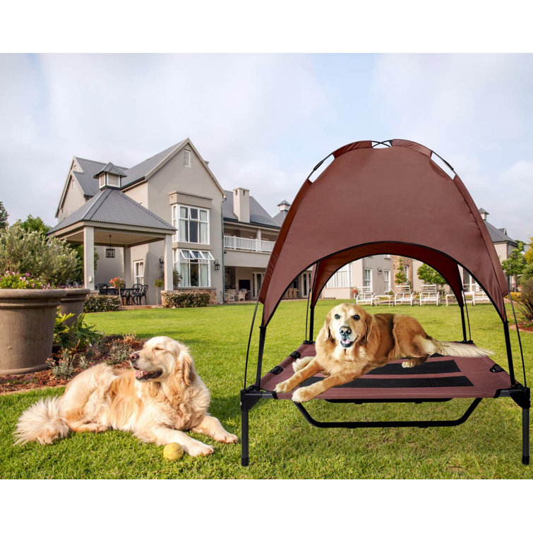 dog shade tent