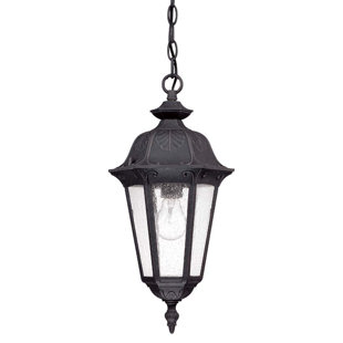 Best Shaw 1-Light Outdoor Hanging Lantern By Astoria Grand Outdoor Lighting Shaw 1-Light Outdoor Hanging Lantern By Astoria Grand Outdoor Lighting