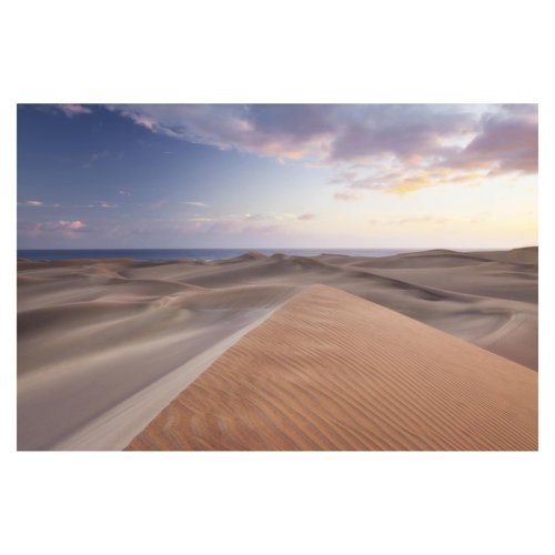 Dune View 2.9m x 4.32m Textured Matte Peel & Stick Wall Mural East Urban Home
