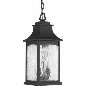 De Witt 2-Light Outdoor Hanging Lantern