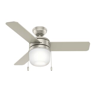 Ceiling Fans You Ll Love In 2020 Wayfair