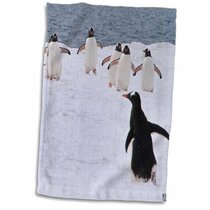 PENGUIN COURTSHIP LOVE AT FIRST SIGHT SET OF 2 BATH HAND TOWELS EMBROIDERED