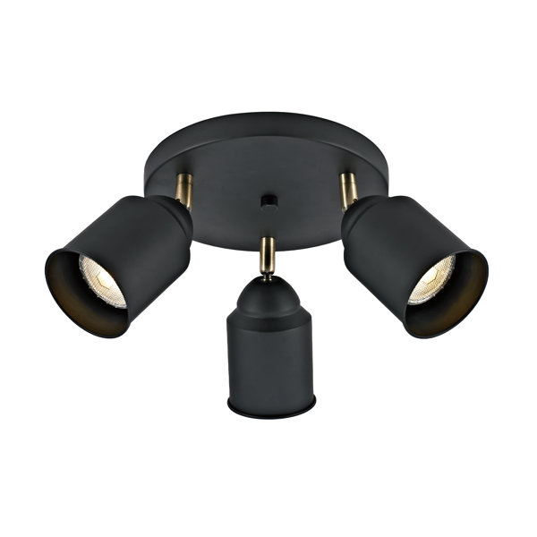 ceiling mounted spot light