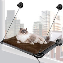 free standing cat hammock