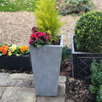 plant pots