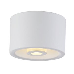 Vision 1-Light Flush Mount